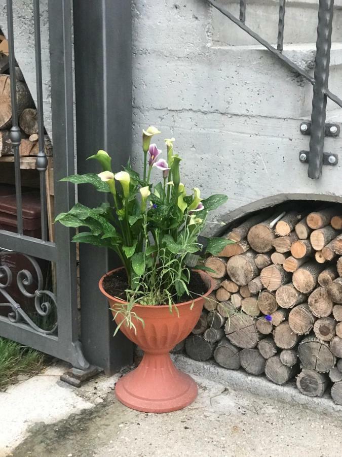 Apartament Casa Paolina - Cipat 57814 Revò Zewnętrze zdjęcie